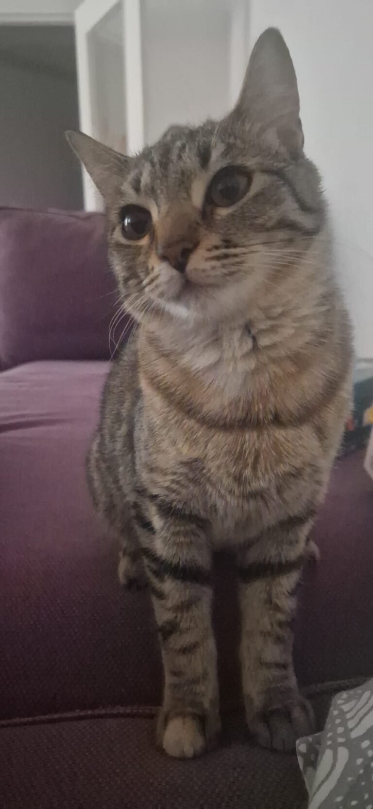 PHOTO-2025-11-25-12-26-22