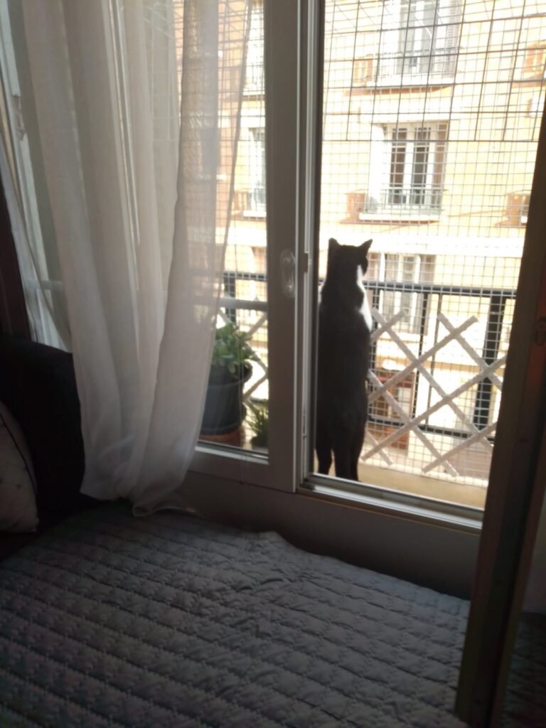 PHOTO-2025-11-27-08-21-05-1