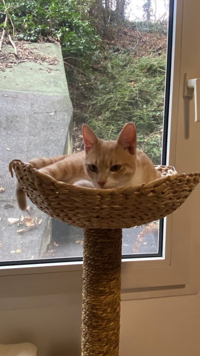 PHOTO-2026-03-13-17-21-55