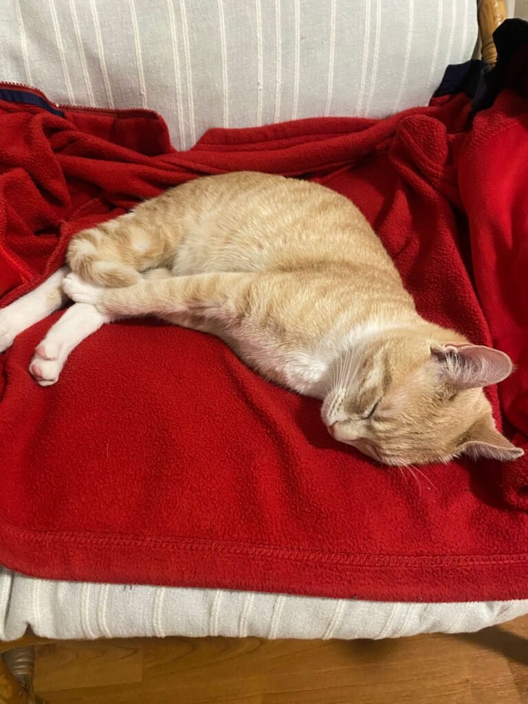 PHOTO-2026-03-13-17-24-31