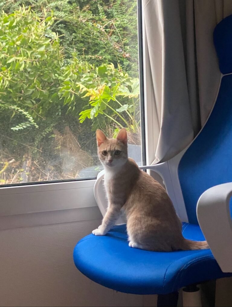 PHOTO-2026-03-13-17-27-20